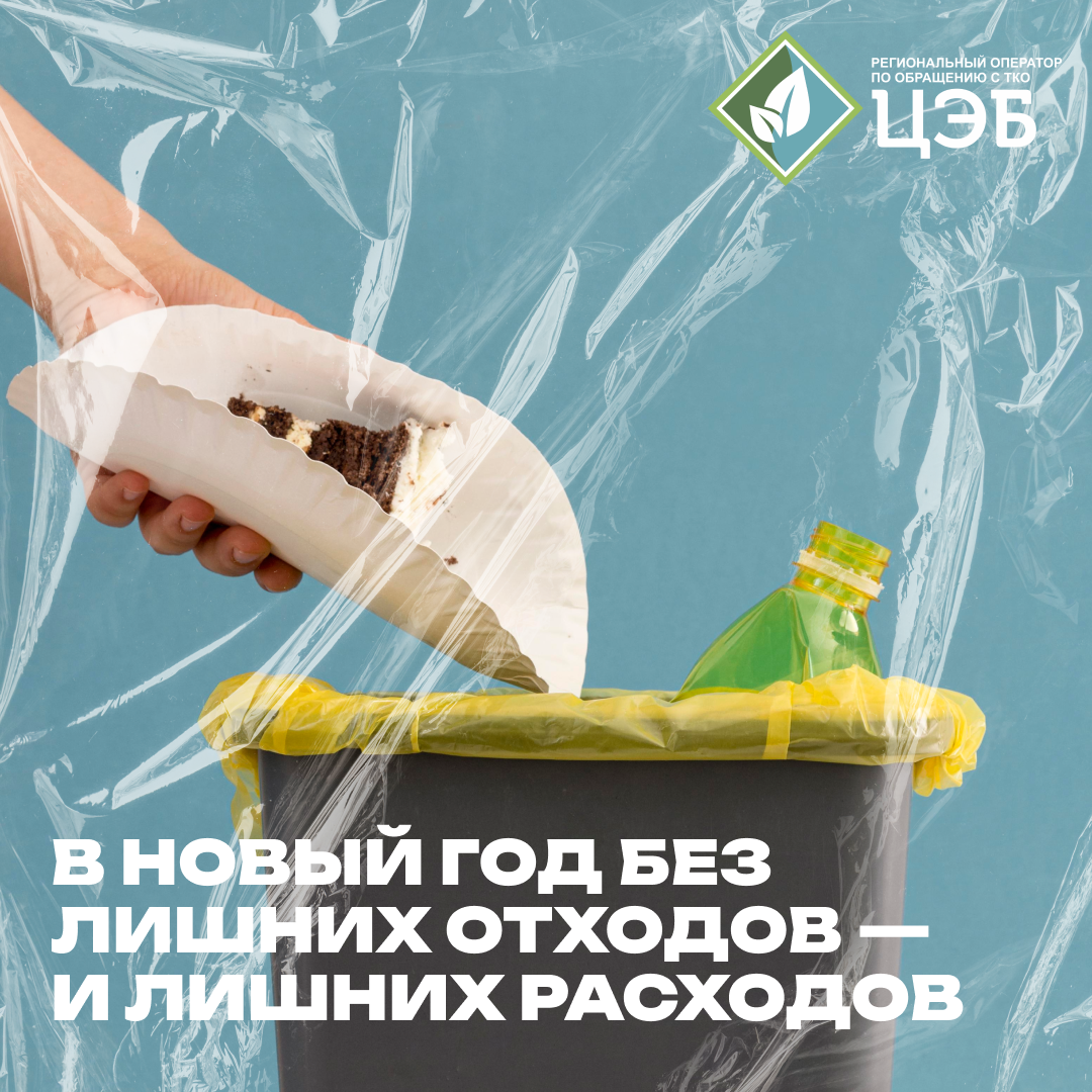 в новый год без лишних отходов и расходов