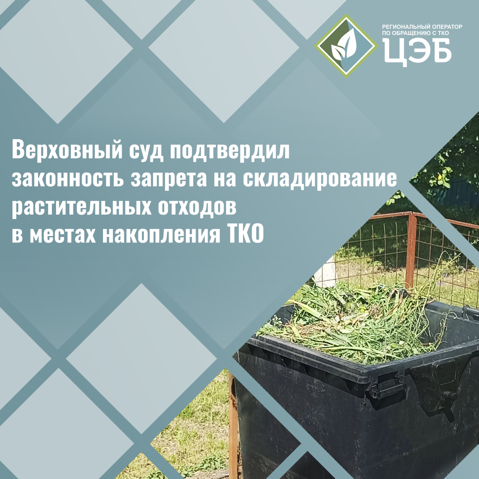 верховный суд подтвердил: веткам не место на контейнерных площадках