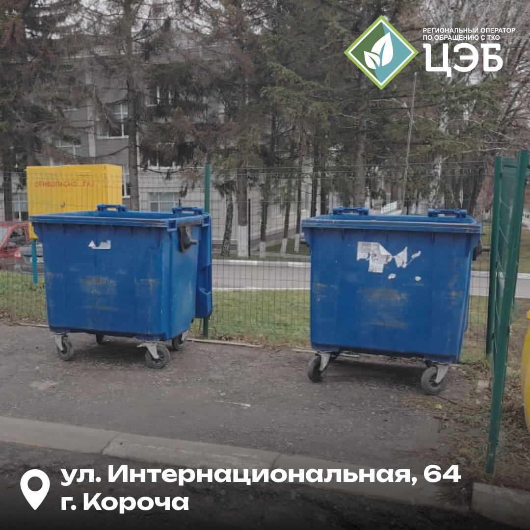 забота о чистоте: эталонная кп в короче