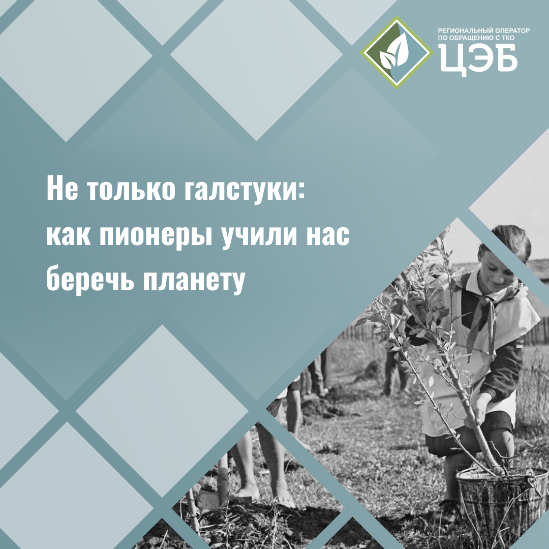 не только галстуки: как пионеры учили нас беречь планету