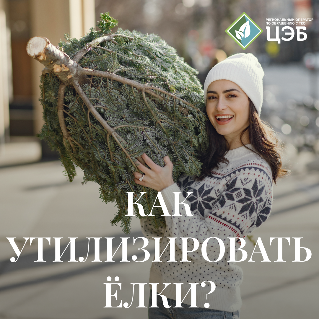 как утилизировать ёлки?