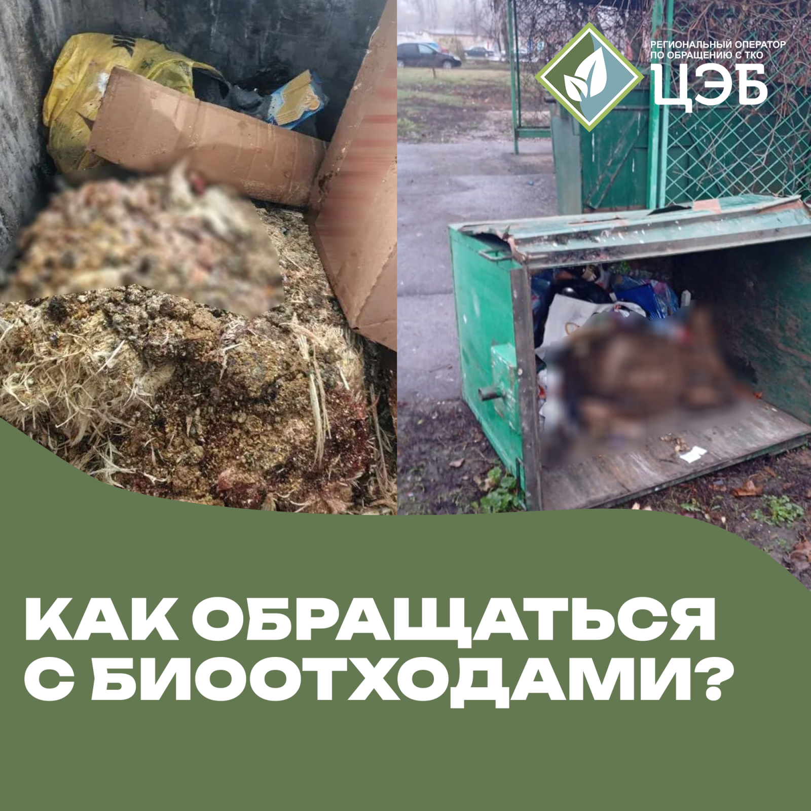 останки животных: как обращаться с биологическими отходами?