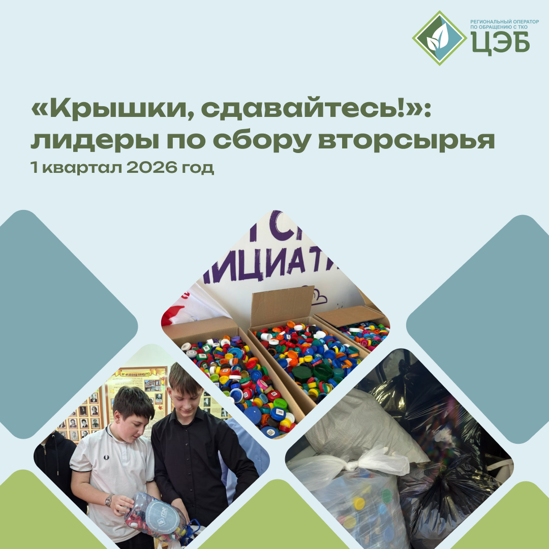 «крышки, сдавайтесь!»: лидеры по сбору вторсырья