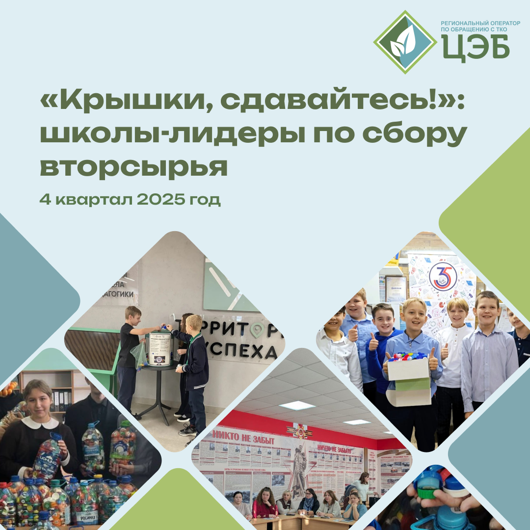 «крышки, сдавайтесь!»: школы-лидеры по сбору вторсырья
