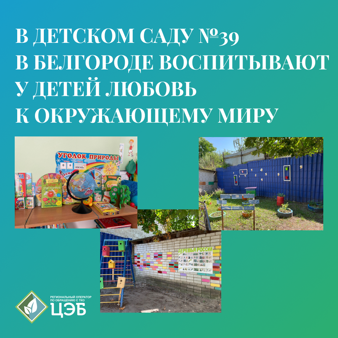 в детском саду №39 в белгороде воспитывают у детей любовь к окружающему миру