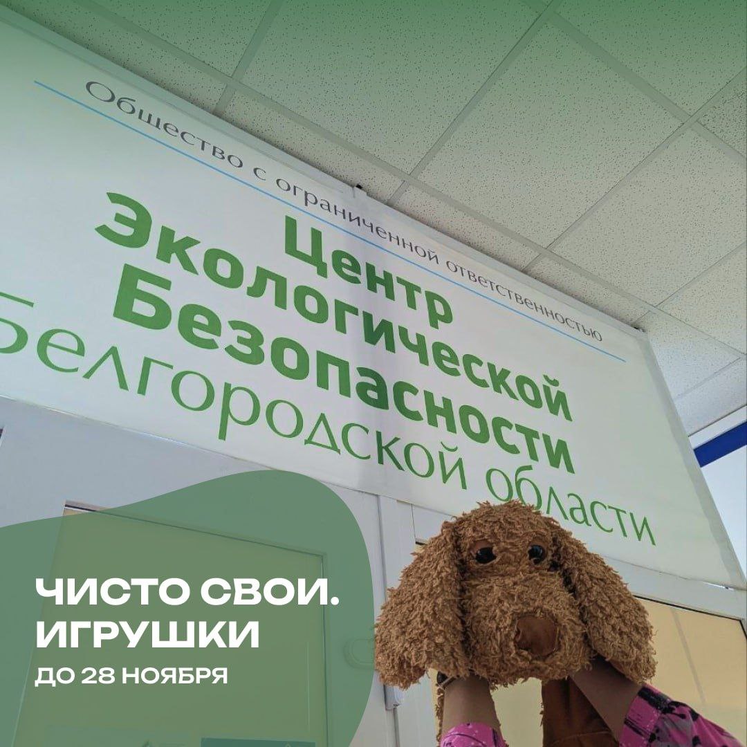 в белгородской области игрушки превратят в подушки для участников сво