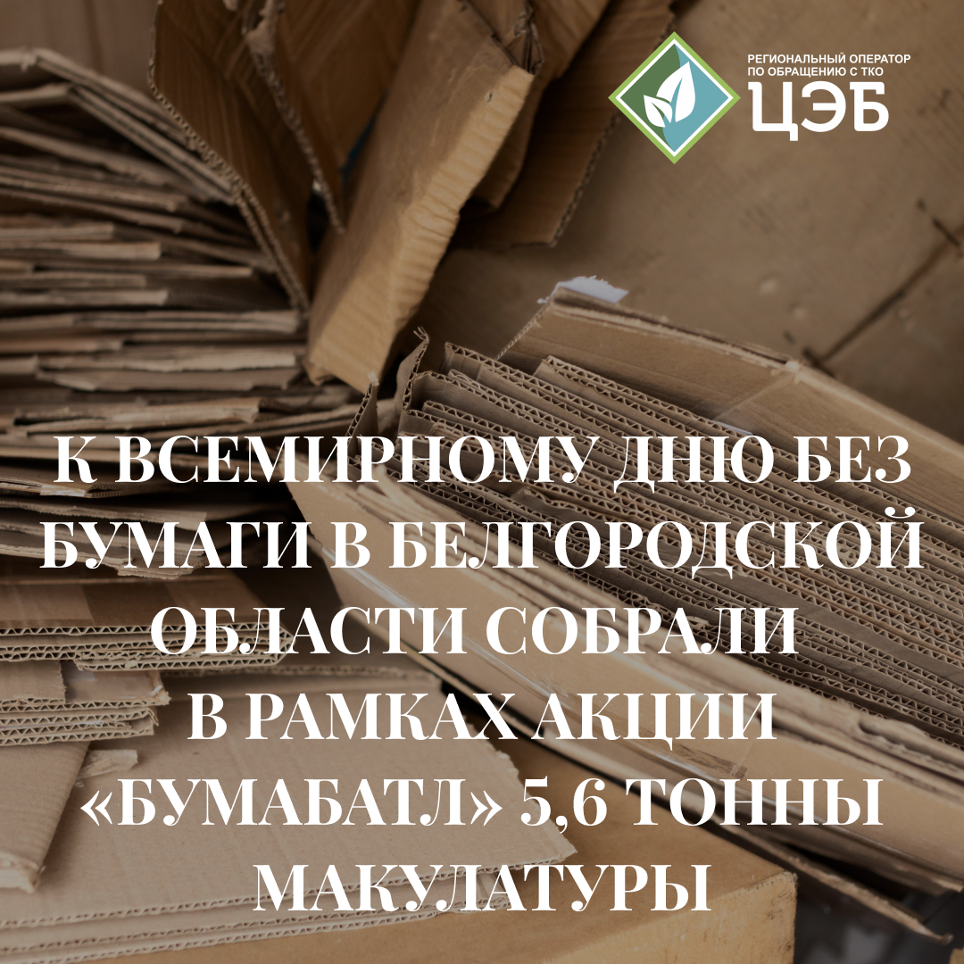 к всемирному дню без бумаги в белгородской области собрали в рамках акции #бумбатл 5,6 тонны макулатуры
