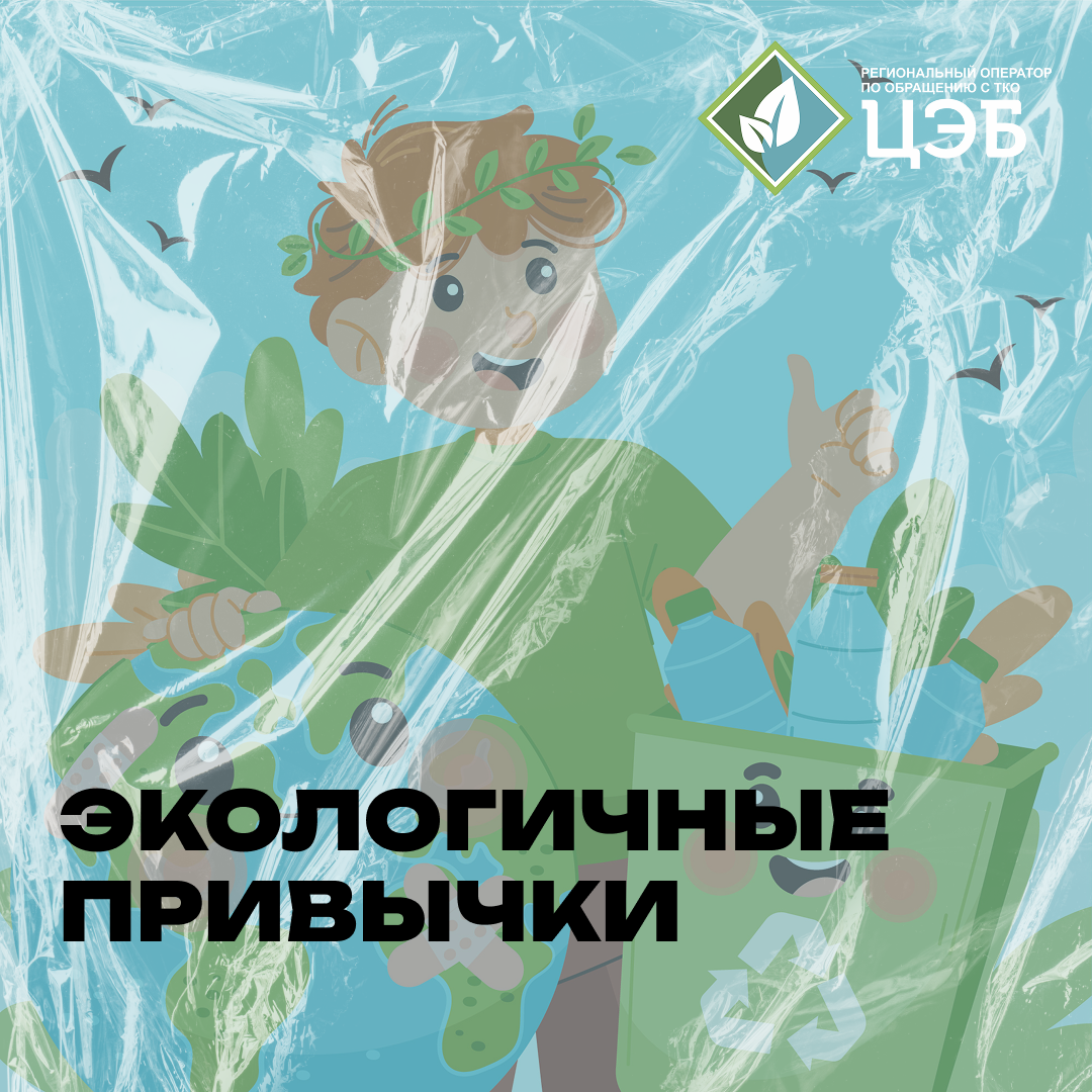 экологичный образ жизни: простые привычки для большой пользы