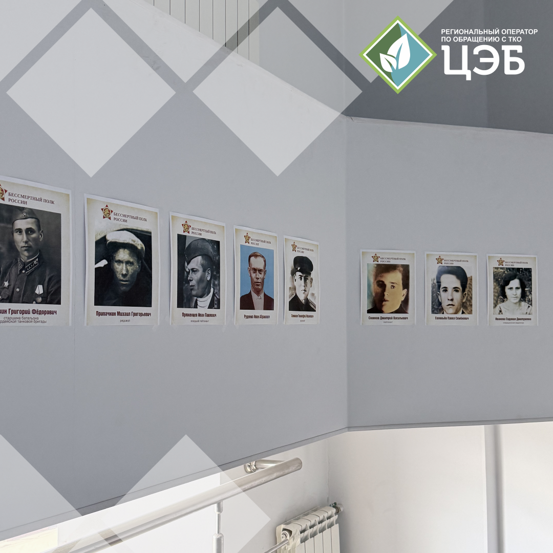 цэб присоединился к всероссийской патриотической акции «окна победы» 