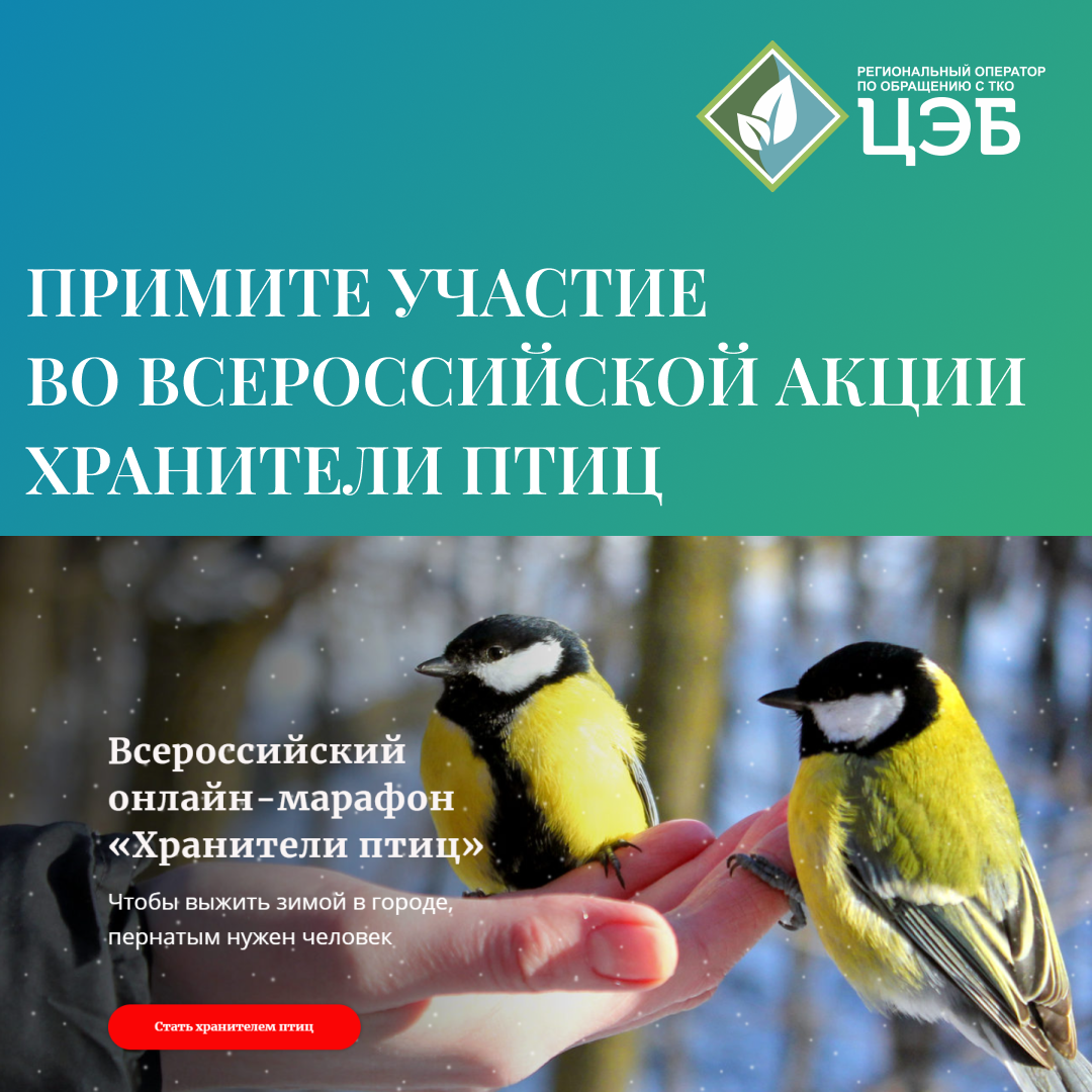 ПРИМИТЕ УЧАСТИЕ ВО ВСЕРОССИЙСКОЙ АКЦИИ «ХРАНИТЕЛИ ПТИЦ» - Центр  Экологической Безопасности Белгородской области