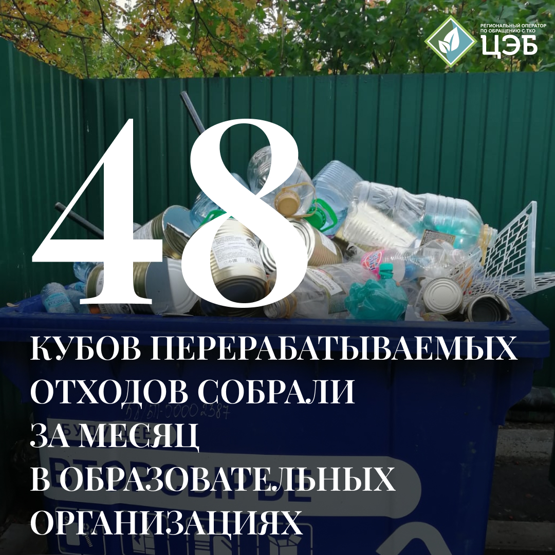 48 кубов перерабатываемых отходов собрали за месяц в образовательных организациях