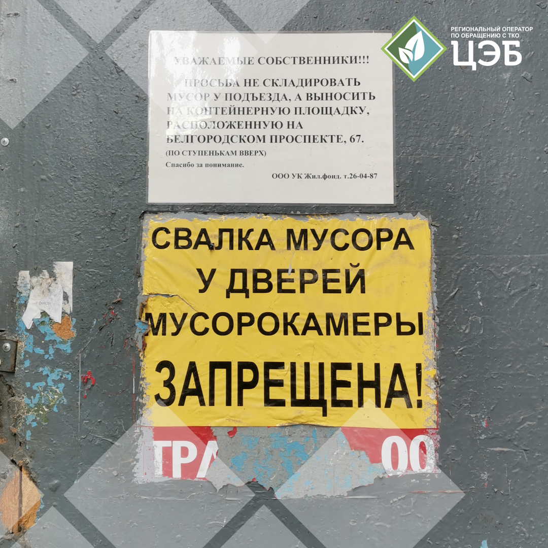 забота о чистоте начинается с информирования