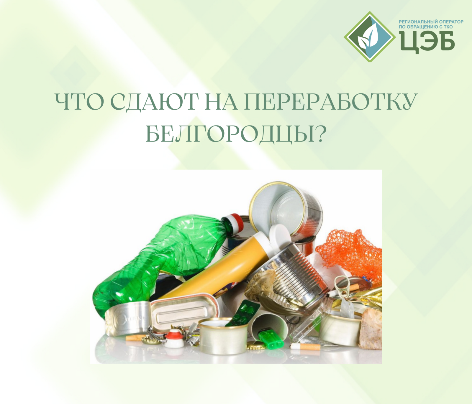 что сдают на переработку белгородцы?