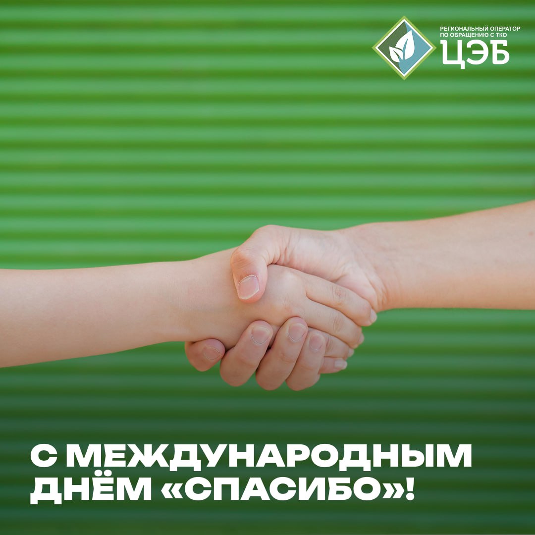 благодарность за вклад в экологию: от волонтёров до партнёров