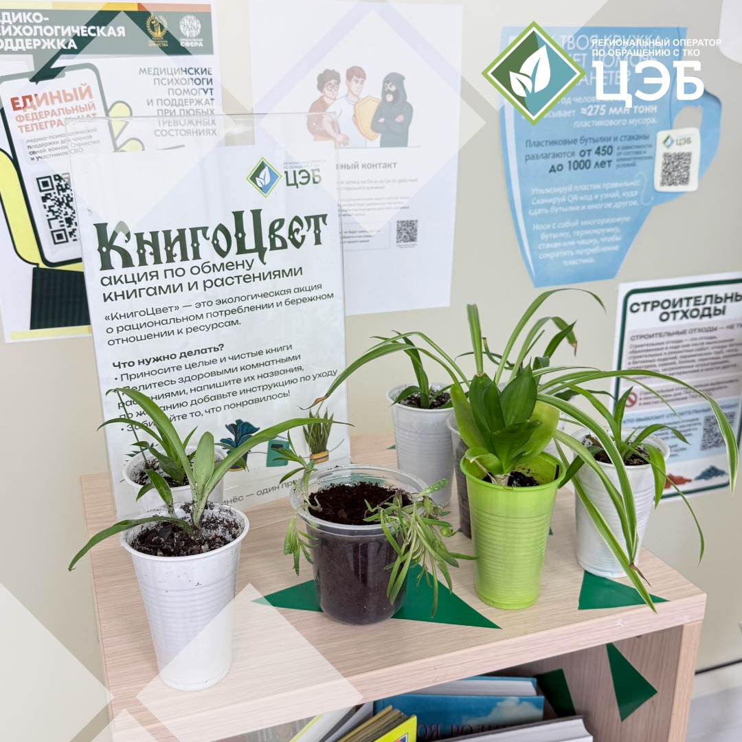 «книгоцвет» пополнился новыми жителями