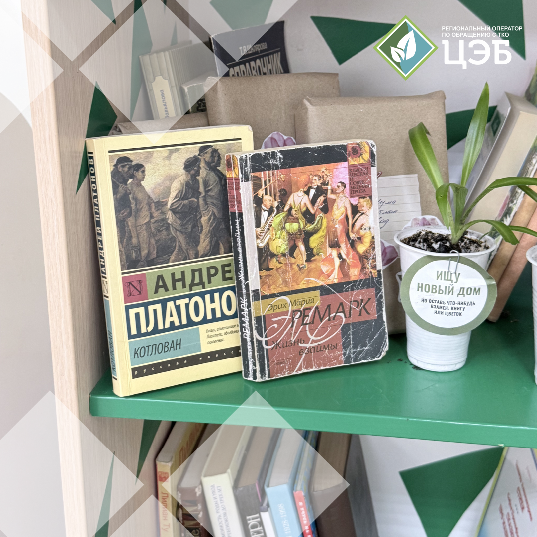 новые книги в пространстве «книгоцвет»