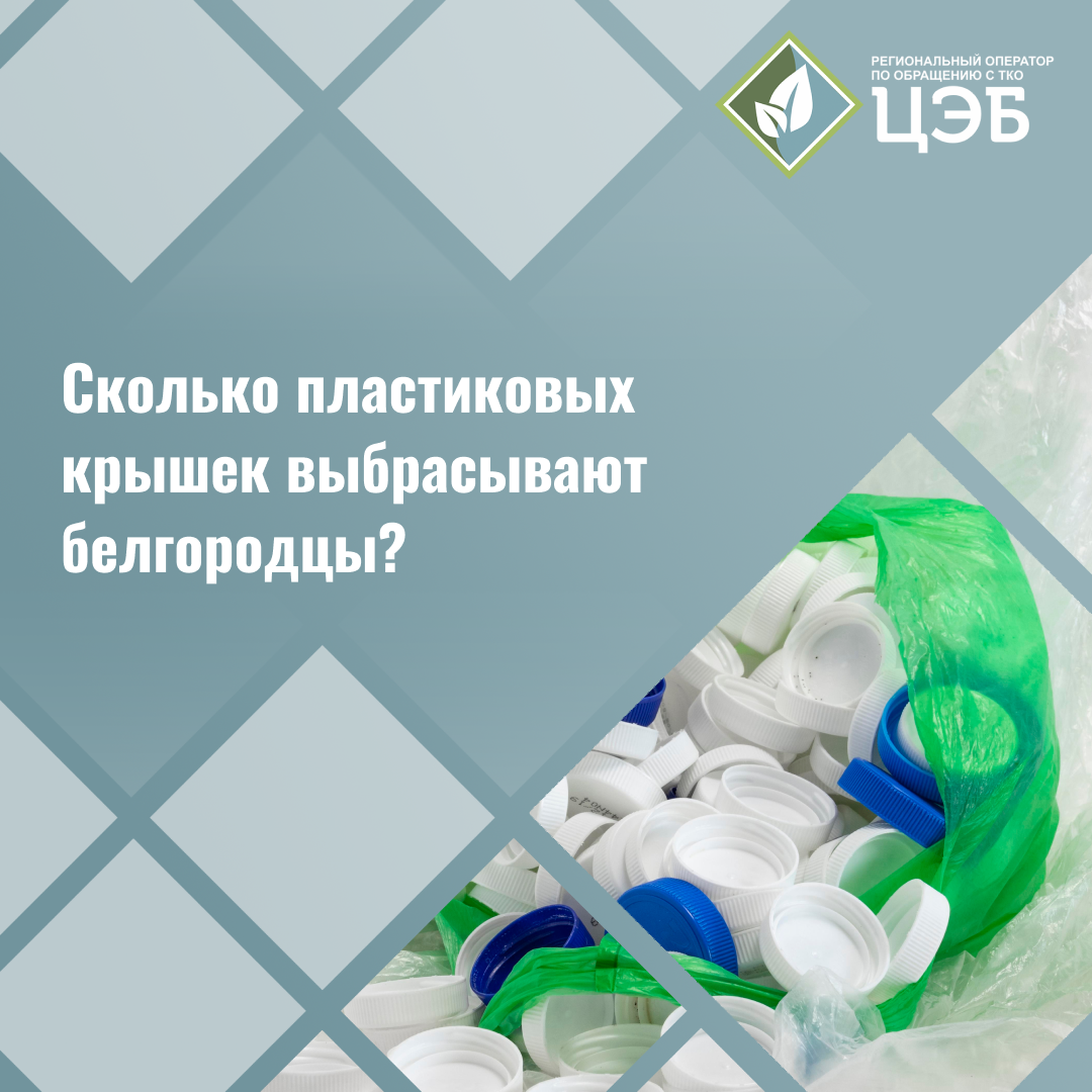 сколько пластиковых крышек выбрасывают белгородцы?