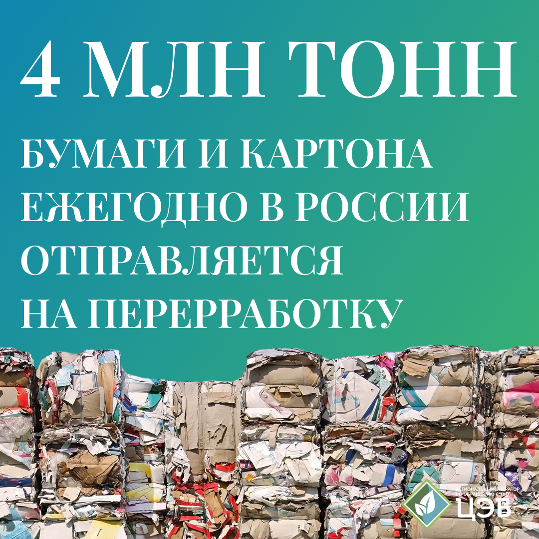 ежегодно в россии на переработку отправляется 4 миллиона тонн бумаги и картона