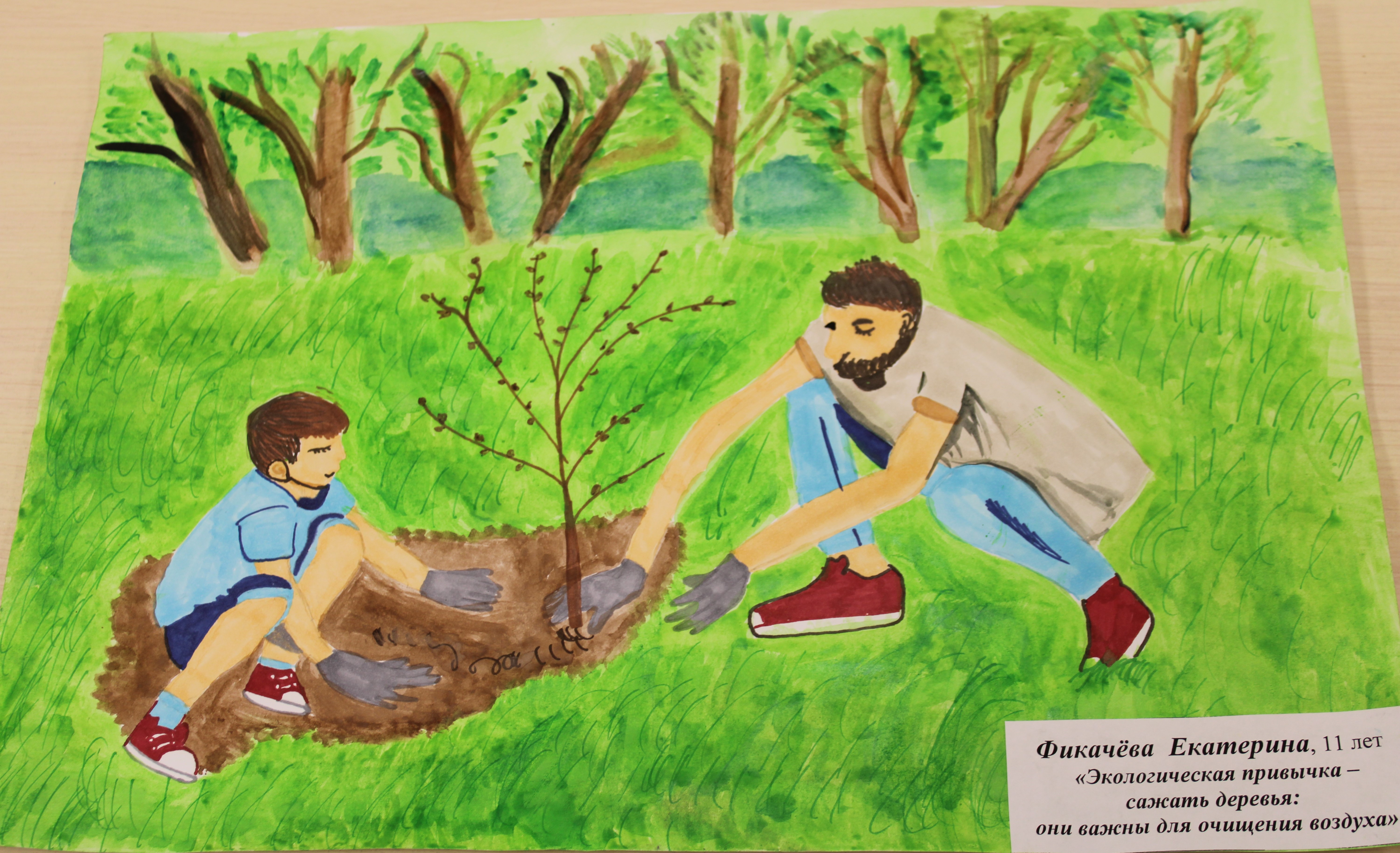 Дедушка посадил в нашем саду дерево. Экология иллюстрация. Рисунок на тему экология. Забота о природе рисунок. Рисунок на тему забота о природе.